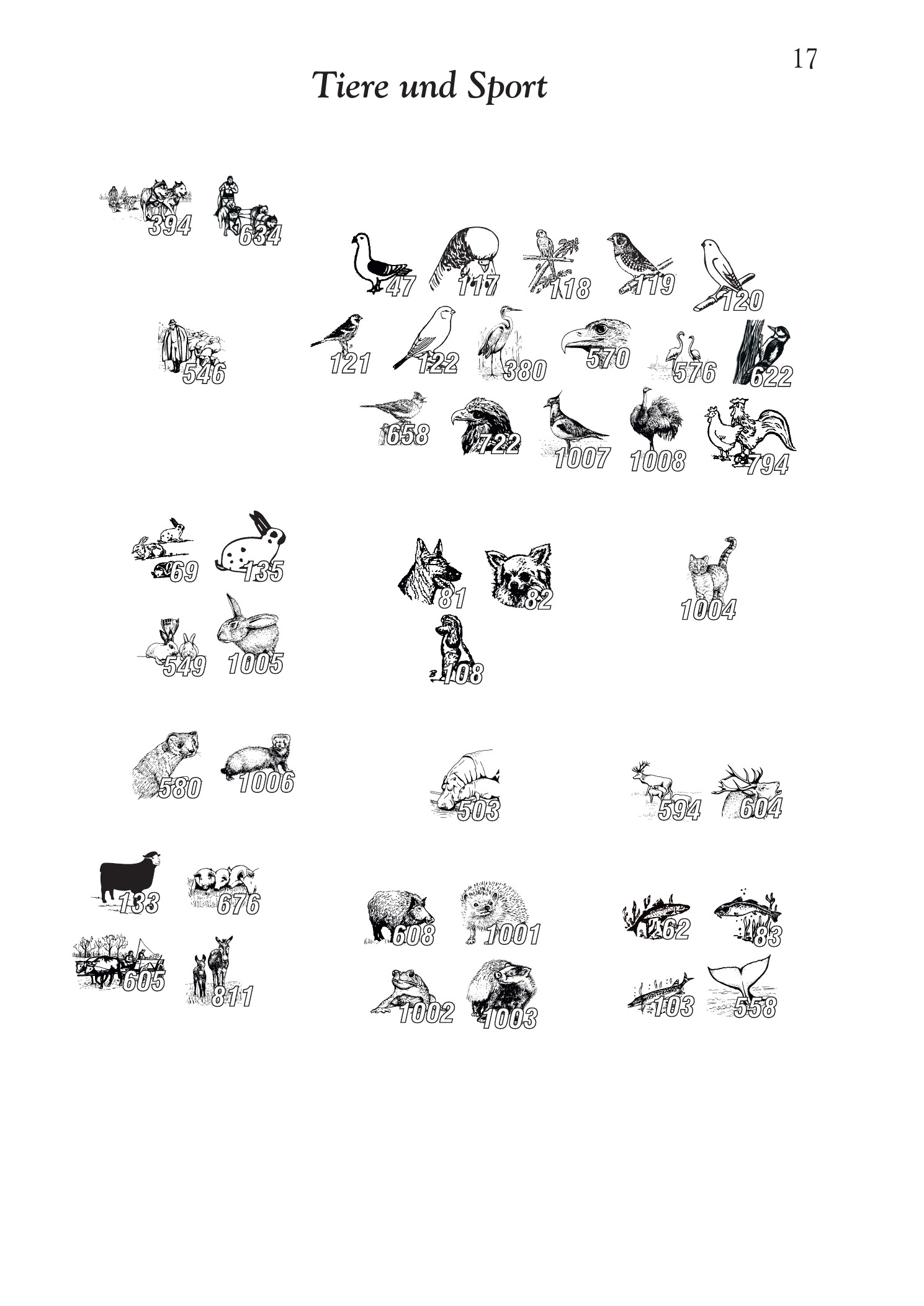 Tiere und Sport Seite 2