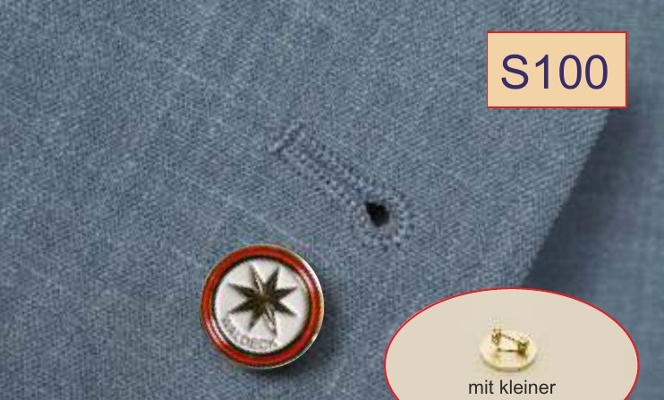 Anstecknadel S100